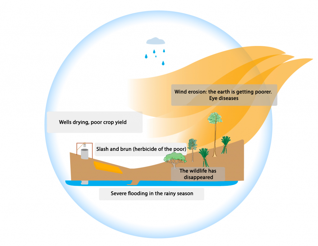 before arboRise: no virtuous circle