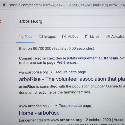 ArboRise sur Google