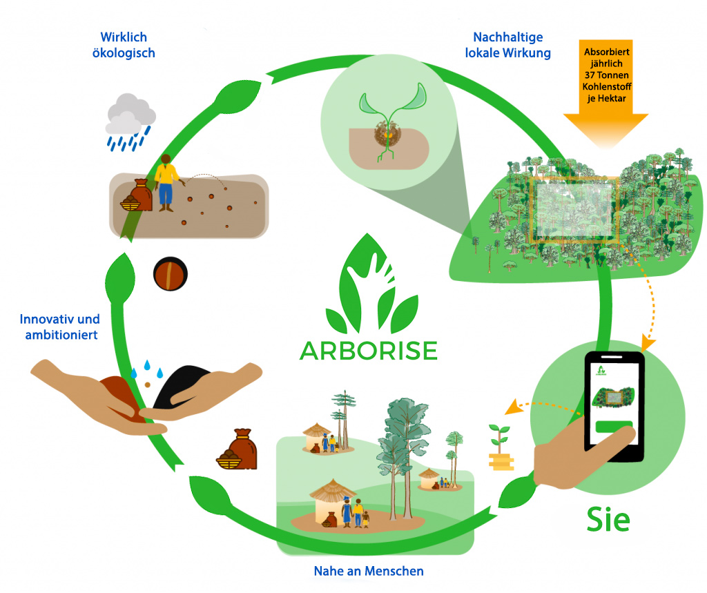 arboRise Ansatz ökologische Aufforstung partizipative Aufforstung effiziente Aufforstung nachhaltige Aufforstung