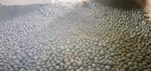 monceaux de seedballs