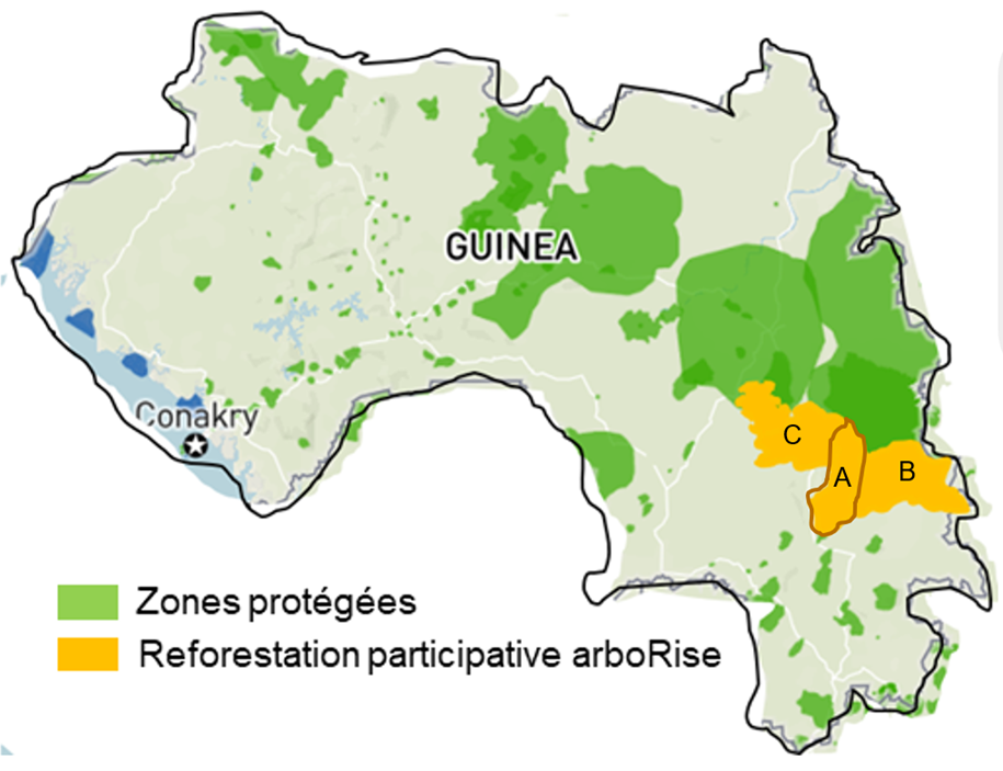 arboRise en Guinée