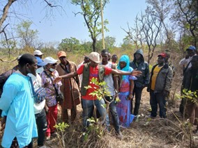 formation des guides à Linko