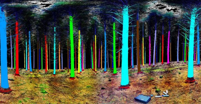 laser pour mesurer les arbres