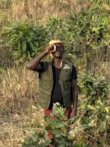 mesure de baseline à Sogboro - hauteur