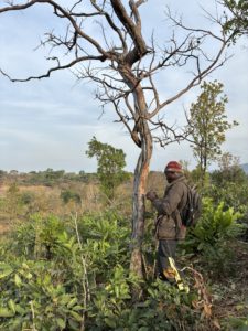 mesure de baseline à Sogboro - circonférence