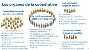 Organes de la Coopérative