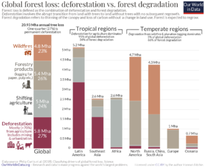drivers of forest loss